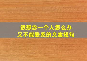 很想念一个人怎么办又不能联系的文案短句