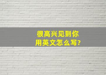 很高兴见到你用英文怎么写?