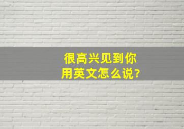 很高兴见到你用英文怎么说?