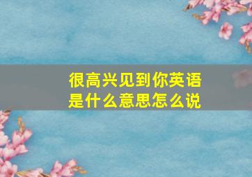 很高兴见到你英语是什么意思怎么说