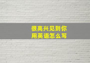 很高兴见到你 用英语怎么写