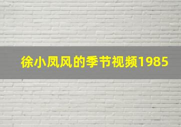 徐小凤风的季节视频1985