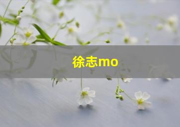 徐志mo