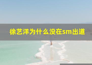 徐艺洋为什么没在sm出道