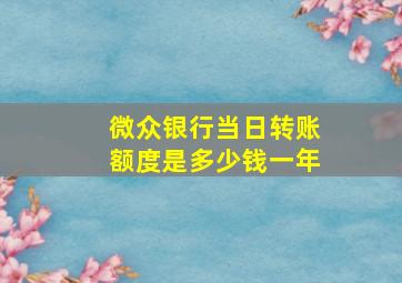 微众银行当日转账额度是多少钱一年