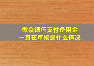 微众银行支付备用金一直在审核是什么情况