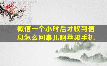 微信一个小时后才收到信息怎么回事儿啊苹果手机