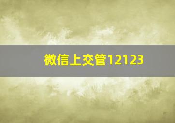 微信上交管12123