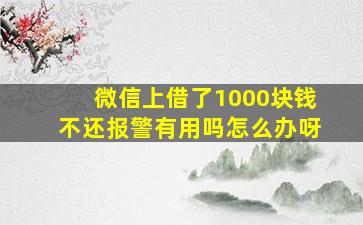 微信上借了1000块钱不还报警有用吗怎么办呀