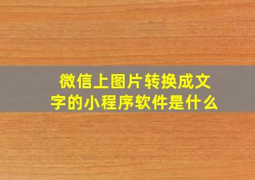 微信上图片转换成文字的小程序软件是什么