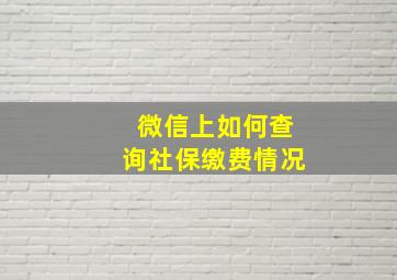 微信上如何查询社保缴费情况