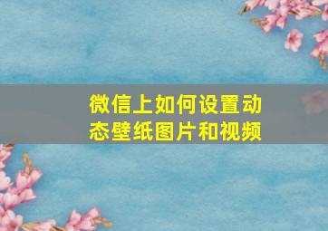 微信上如何设置动态壁纸图片和视频