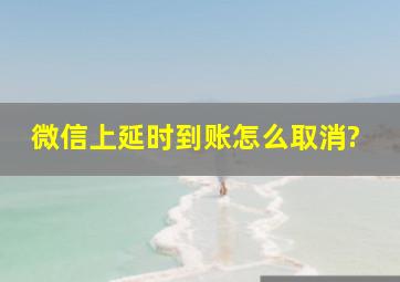 微信上延时到账怎么取消?