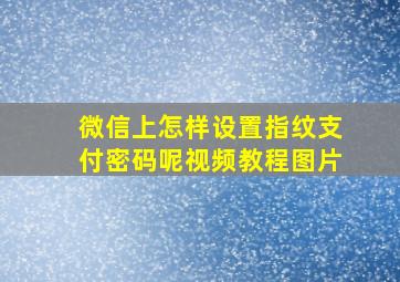 微信上怎样设置指纹支付密码呢视频教程图片