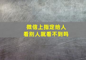 微信上指定给人看别人就看不到吗