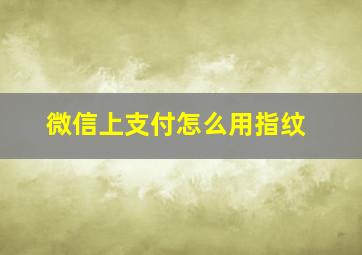 微信上支付怎么用指纹