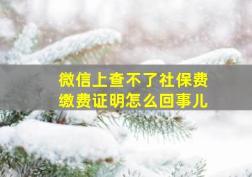 微信上查不了社保费缴费证明怎么回事儿