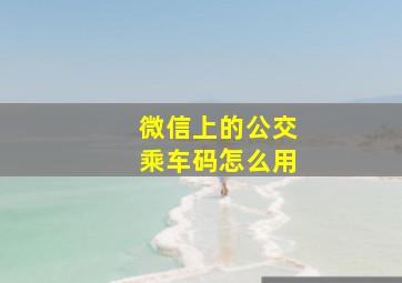 微信上的公交乘车码怎么用