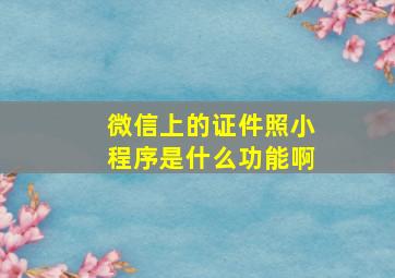 微信上的证件照小程序是什么功能啊