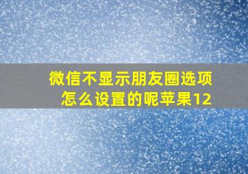 微信不显示朋友圈选项怎么设置的呢苹果12