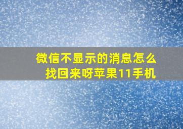 微信不显示的消息怎么找回来呀苹果11手机