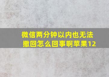 微信两分钟以内也无法撤回怎么回事啊苹果12