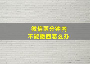 微信两分钟内不能撤回怎么办