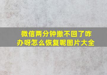 微信两分钟撤不回了咋办呀怎么恢复呢图片大全