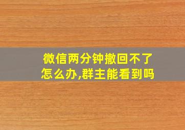 微信两分钟撤回不了怎么办,群主能看到吗