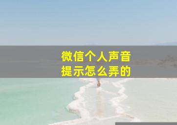 微信个人声音提示怎么弄的