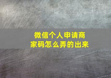 微信个人申请商家码怎么弄的出来