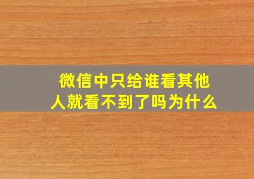 微信中只给谁看其他人就看不到了吗为什么