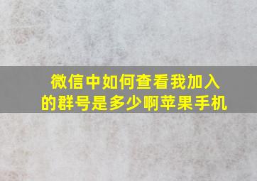 微信中如何查看我加入的群号是多少啊苹果手机