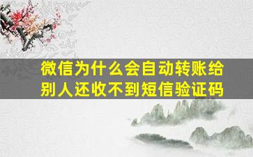 微信为什么会自动转账给别人还收不到短信验证码