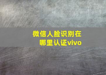 微信人脸识别在哪里认证vivo