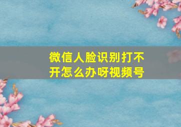 微信人脸识别打不开怎么办呀视频号