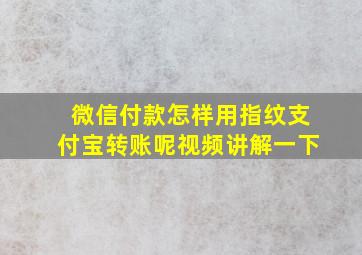 微信付款怎样用指纹支付宝转账呢视频讲解一下