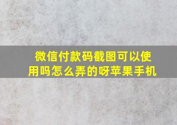 微信付款码截图可以使用吗怎么弄的呀苹果手机