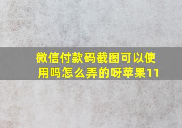 微信付款码截图可以使用吗怎么弄的呀苹果11