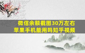 微信余额截图30万左右苹果手机能用吗知乎视频