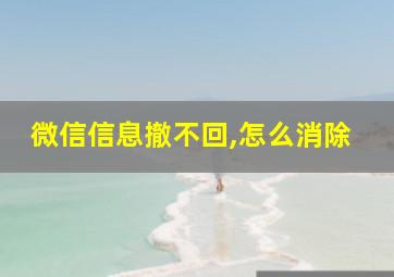 微信信息撤不回,怎么消除