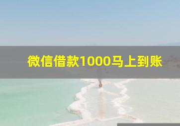 微信借款1000马上到账