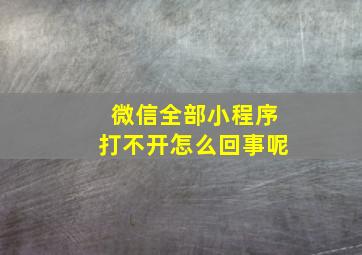 微信全部小程序打不开怎么回事呢