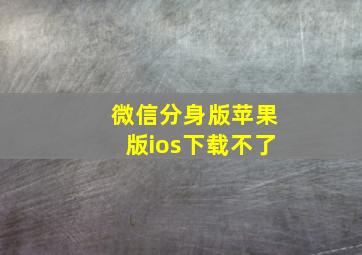 微信分身版苹果版ios下载不了