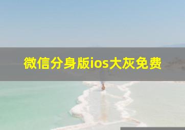 微信分身版ios大灰免费