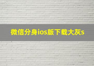 微信分身ios版下载大灰s