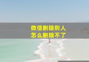 微信删除别人怎么删除不了