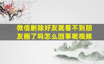 微信删除好友就看不到朋友圈了吗怎么回事呢视频