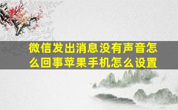 微信发出消息没有声音怎么回事苹果手机怎么设置