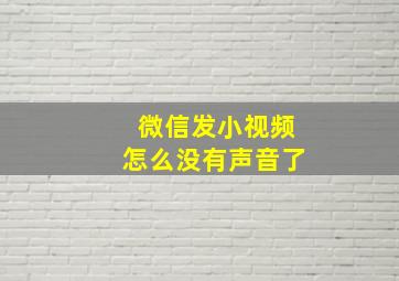 微信发小视频怎么没有声音了